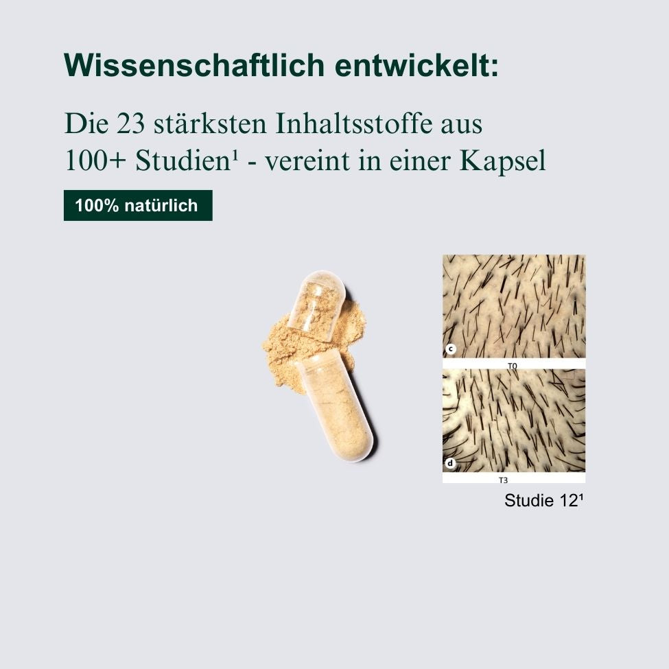 Haardichte-Komplex