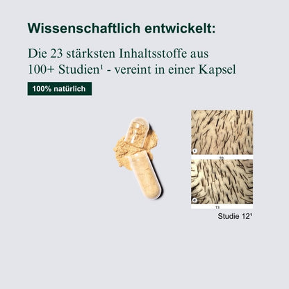 Haardichte-Komplex